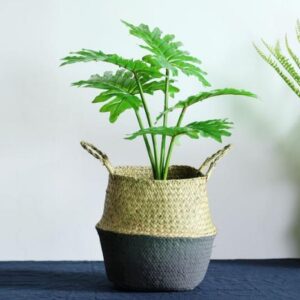 Wicker Foldable Planter Basket - Image 5