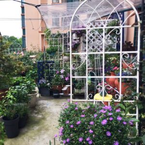 4 Pack Metal Garden Trellis 7  X19.7 Rustproof For Climbing Plants Support - Image 5