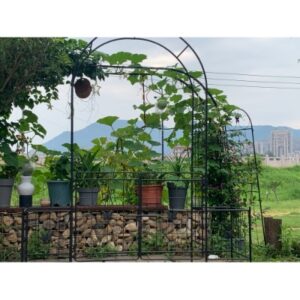 Garden Arch Arbor Trellis For Climbing Plants With Gate, Durable Metal Garden Arch Outdoor Wedding Arch, For Wedding Ceremony Party Plant Climbing Rose Vines Lawn Courtyard Patio Black, 7.15ft - Image 9