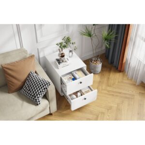 Modern Night Stand Storage Cabinet For Living Room Bedroom, Steel Cabinet With 2 Drawers,Bedside Furniture, Circular Handle - Image 4