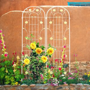 2 Pack Metal Garden Trellis 86.7 X 19.7 Rustproof For Climbing Plants Outdoor - Image 1