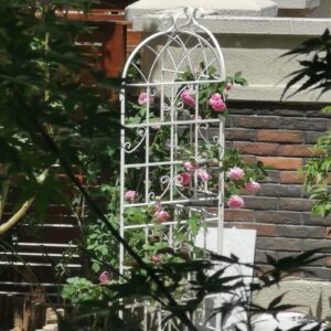 4 Pack Metal Garden Trellis 7  X19.7 Rustproof For Climbing Plants Support - Image 4