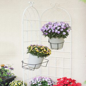 4 Pack Metal Garden Trellis 7  X19.7 Rustproof For Climbing Plants Support - Image 7